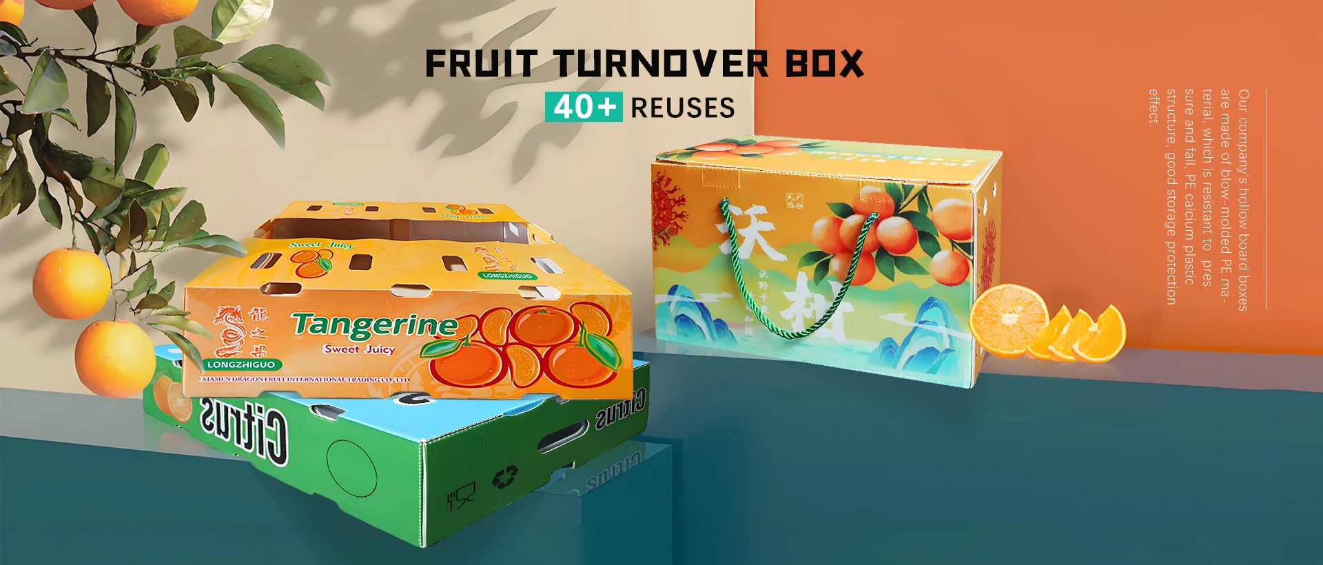 Leverandør av fruktomsetningsboks