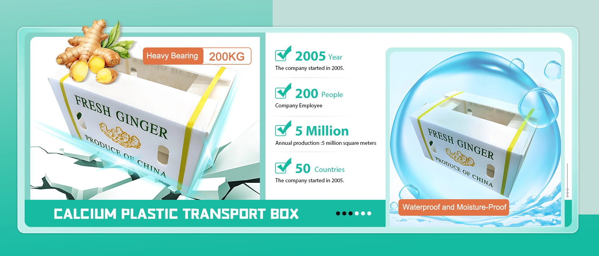 China Calcium Plastic Transport Box Produsent